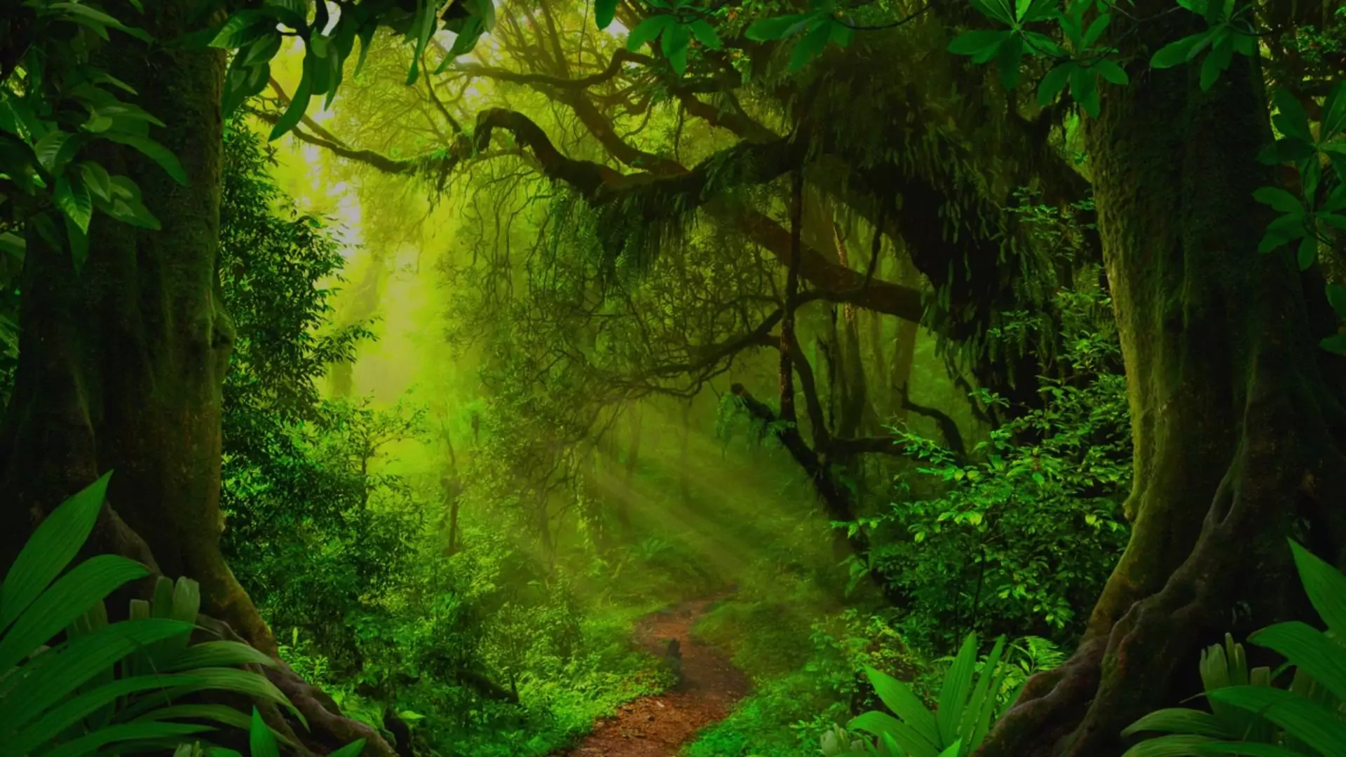 banner7-scaled.webp