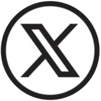 x icon
